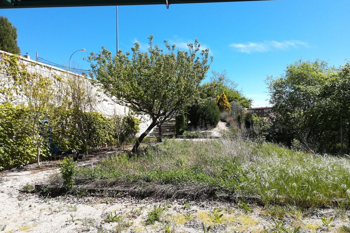 Finca de recreo en El Burgo de Osma – foto 4